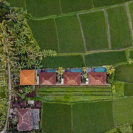 Airsania Ubud Antique Villas Esterno foto