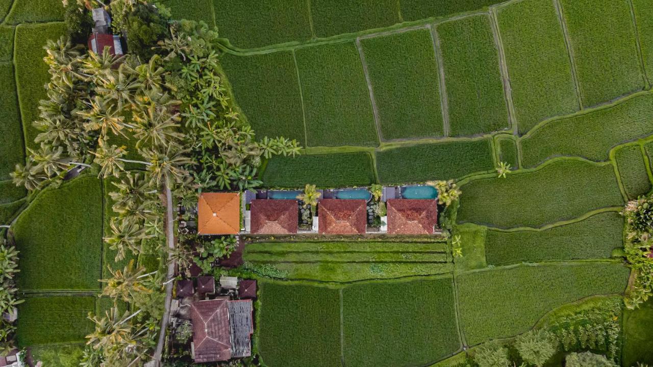 Airsania Ubud Antique Villas Esterno foto